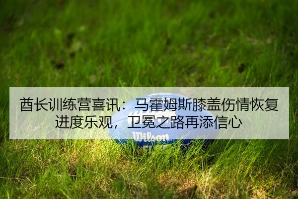qiu-zhang-xun-lian-ying-xi-xun-ma-huo-mu-si-xi-gai-shang-qing-hui-fu-jin-du-le-guan-wei-mian-zhi-lu-zai-tian-xin-xin-2-381.jpg