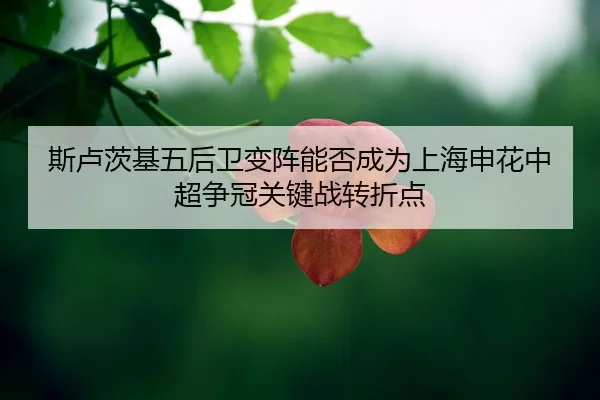 si-lu-ci-ji-wu-hou-wei-bian-zhen-neng-fou-cheng-wei-shang-hai-shen-hua-zhong-chao-zheng-guan-guan-jian-zhan-zhuan-zhe-2-216.jpg
