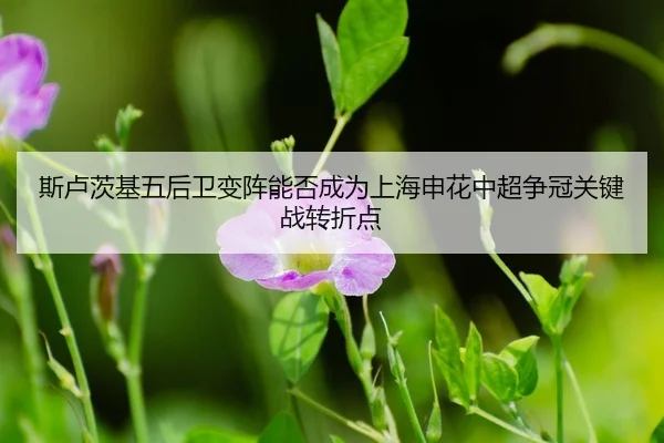 si-lu-ci-ji-wu-hou-wei-bian-zhen-neng-fou-cheng-wei-shang-hai-shen-hua-zhong-chao-zheng-guan-guan-jian-zhan-zhuan-zhe-3-549.jpg