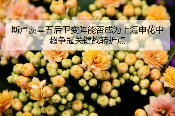 斯卢茨基五后卫变阵能否成为上海申花中超争冠关键战转折点
