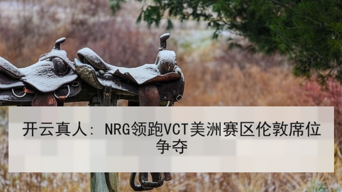 开云真人: NRG领跑VCT美洲赛区伦敦席位争夺 开云真人: NRG领跑VCT美洲赛区伦敦席位争夺