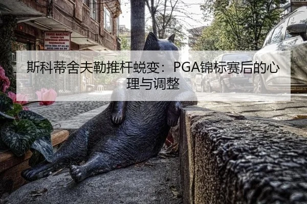 si-ke-di-she-fu-lei-tui-gan-tui-bian-jin-biao-sai-hou-de-xin-li-yu-tiao-zheng-2-202.jpg