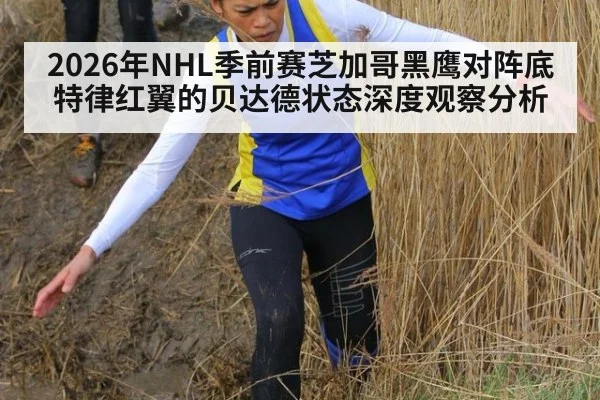 2026年NHL季前赛芝加哥黑鹰对阵底特律红翼的贝达德状态深度观察分析