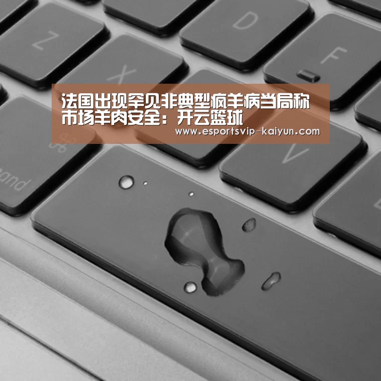法国出现罕见非典型疯羊病当局称市场羊肉安全:开云篮球(图1) 开云赛事