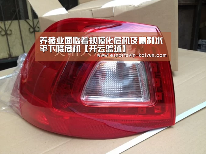 养猪业面临着规模化危机及赢利水平下降危机【开云篮球】(图1) 开云赛事
