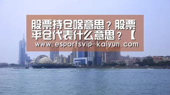 开云篮球